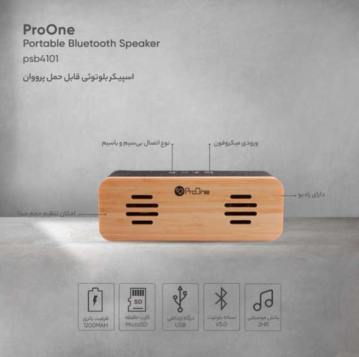 اسپیکر وایرلس پرووآن مدل SK10 اورجینال
